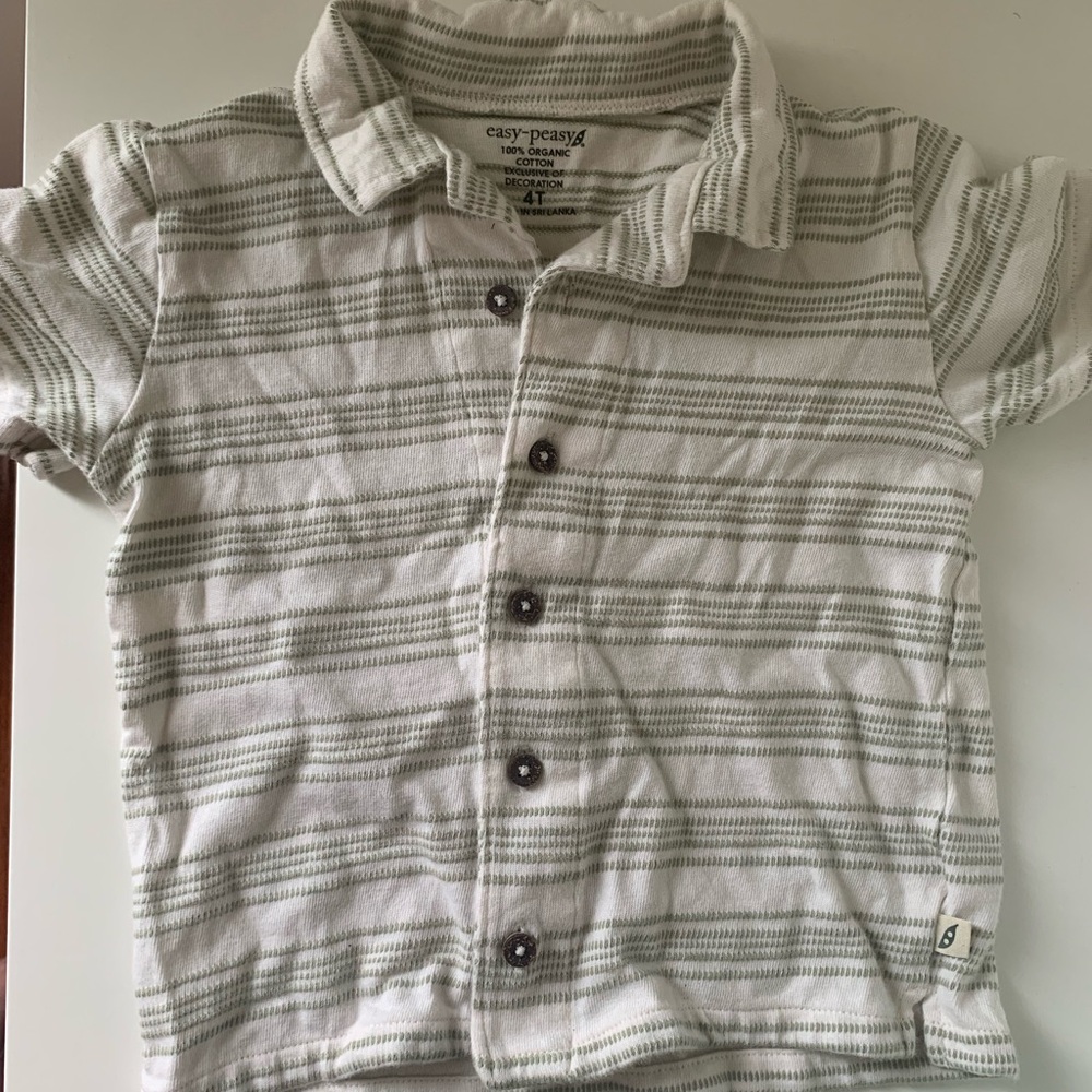 Green and White Striped Button Down Shirt